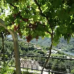 Quinta Do Olival - Douro Valley Sande (Porto)