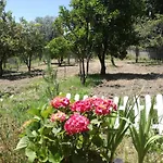 Quinta Do Olival - Douro Valley *