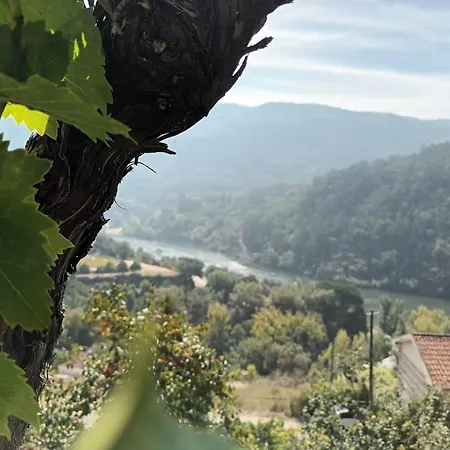 Quinta Do Olival - Douro Valley Sande (Porto)
