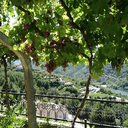 Quinta Do Olival - Douro Valley Sande (Porto)