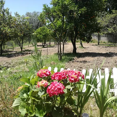 Quinta Do Olival - Douro Valley *