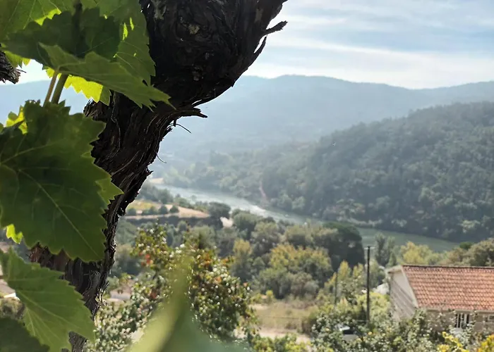 Quinta Do Olival - Douro Valley Sande (Porto)