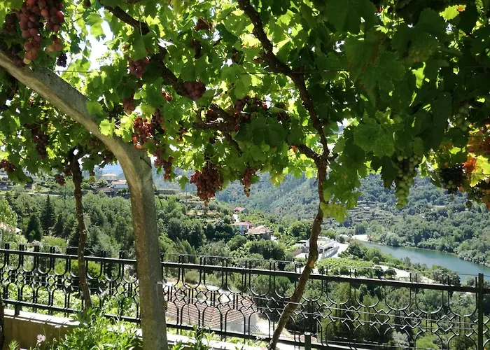 Quinta Do Olival - Douro Valley Sande (Porto)