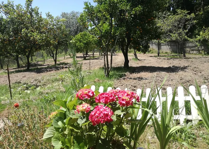 Quinta Do Olival - Douro Valley *